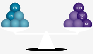 A balanced scale with the text "Procoagulants and anticoagulants can balance each other out".