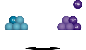 A balanced scale, with the text "By removing an anticoagulant, the scale may be rebalanced".